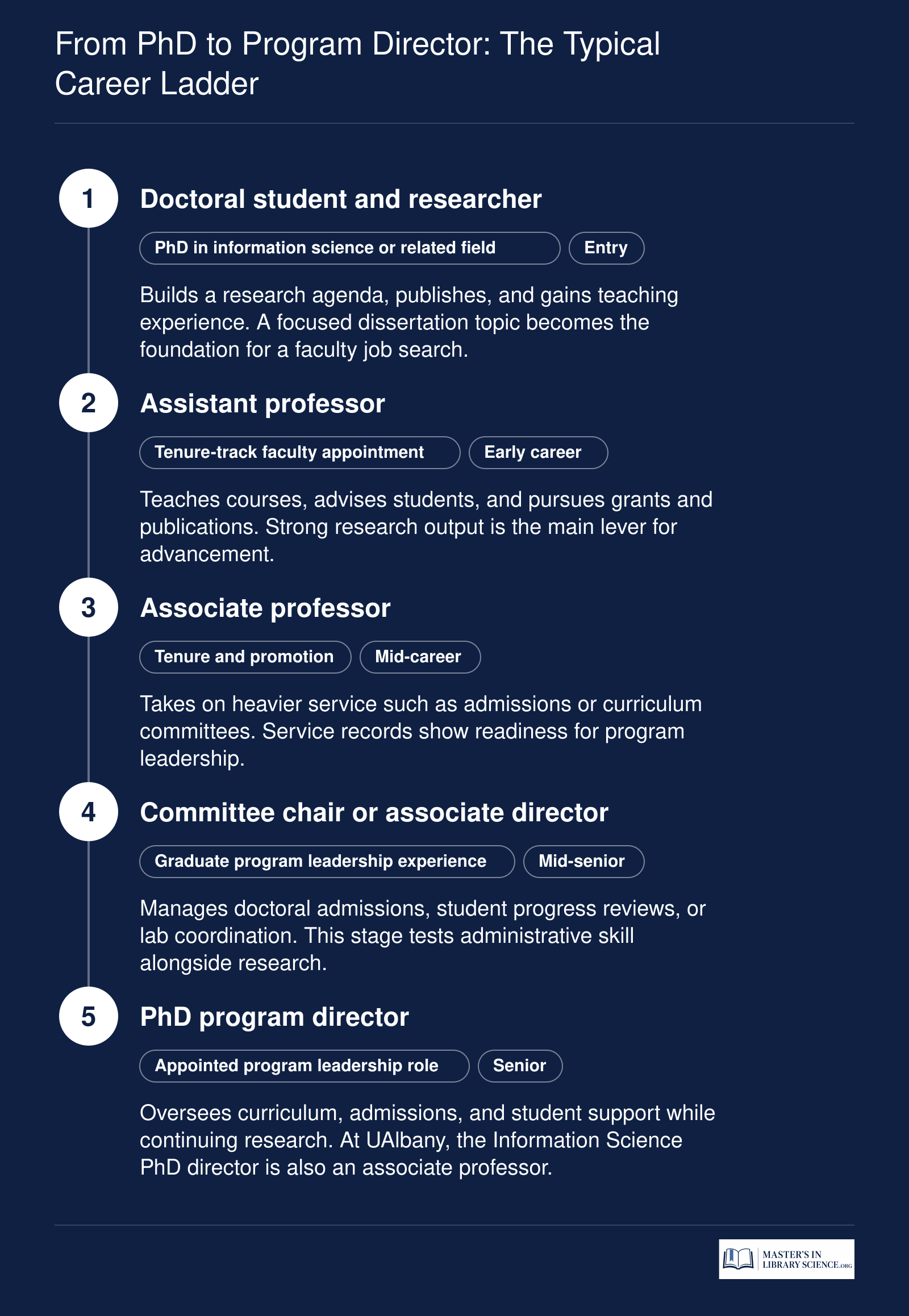 Five-stage academic path from doctorate through faculty appointment, tenure, committee leadership, to information science PhD program director