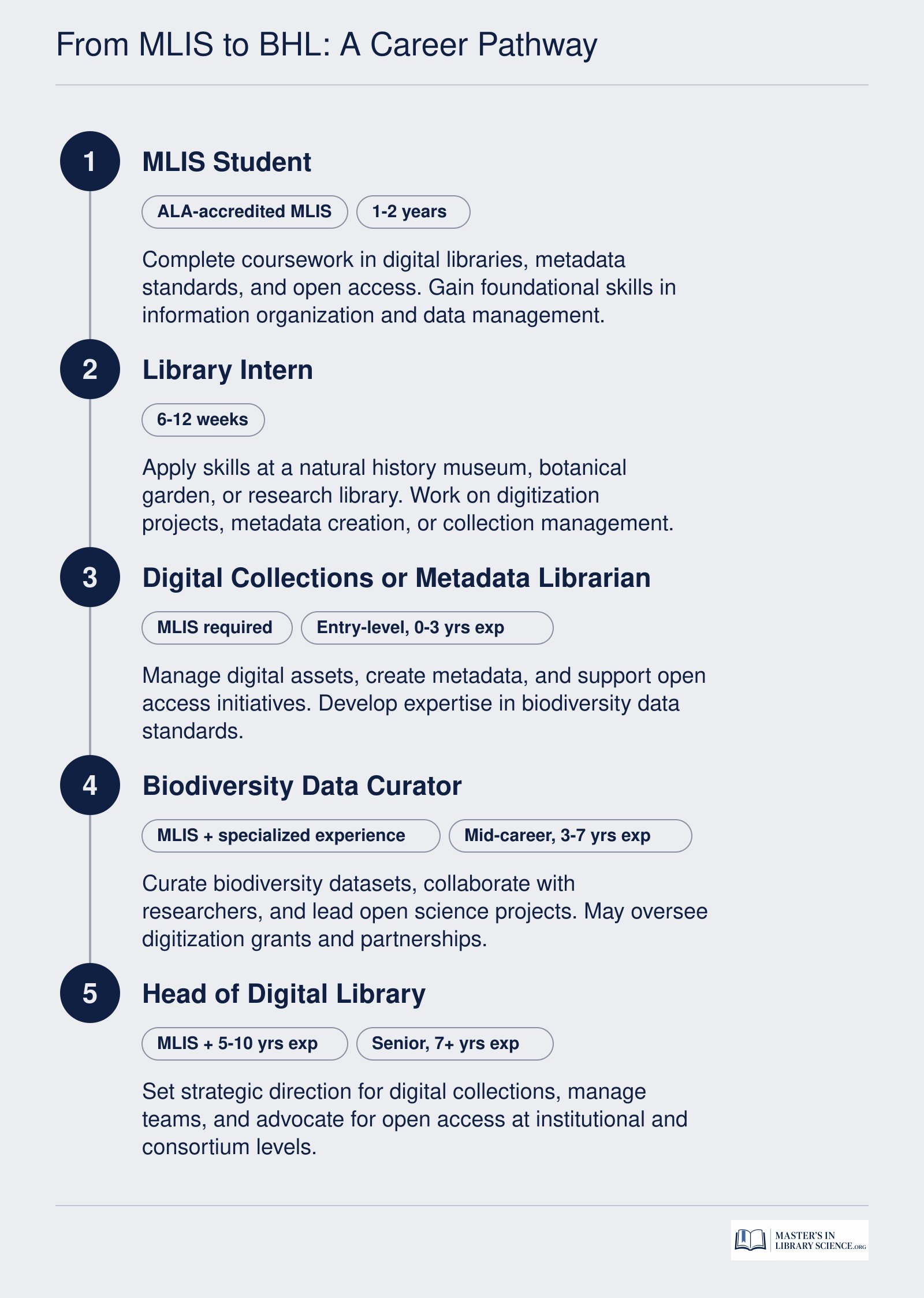 Five-step career progression from MLIS student to senior digital library leader in biodiversity collections, outlining typical roles, credentials, and experience levels.